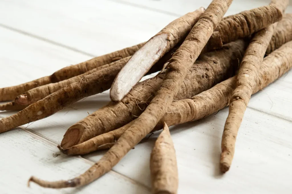 Organic burdock root on wooden table.