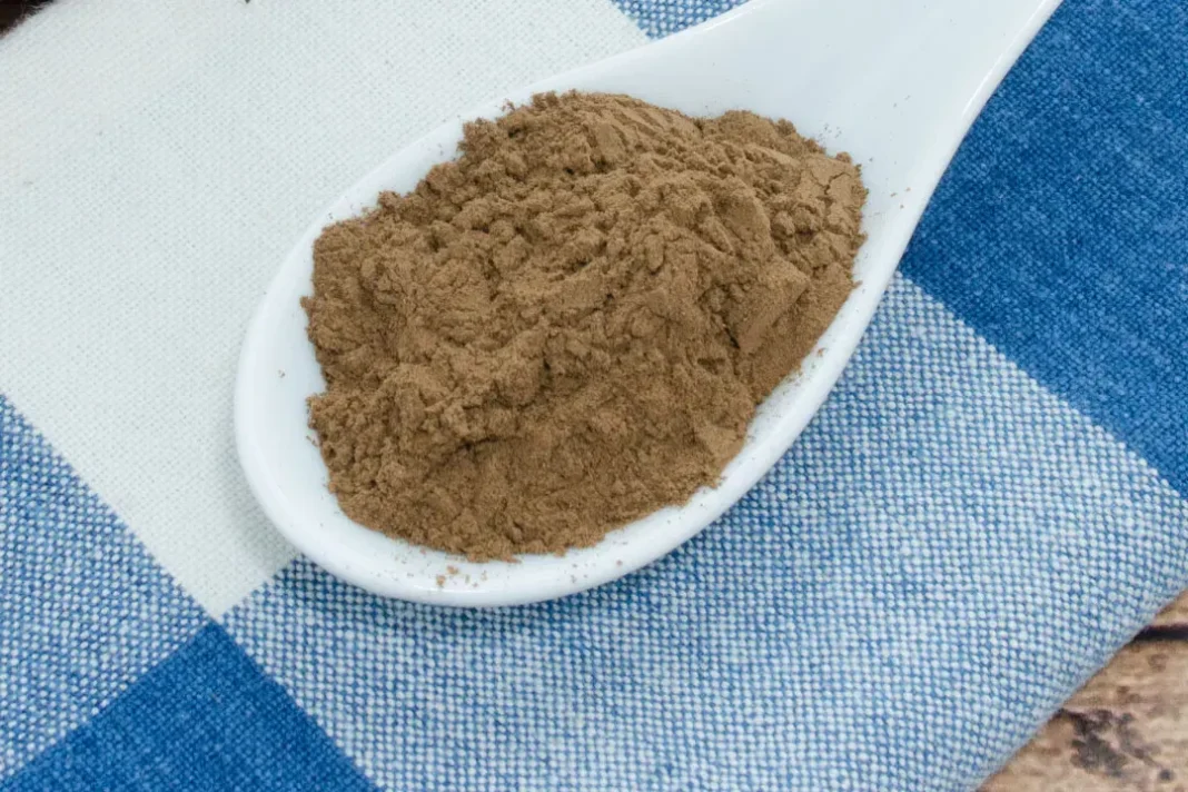 Reishi powder